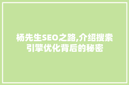杨先生SEO之路,介绍搜索引擎优化背后的秘密