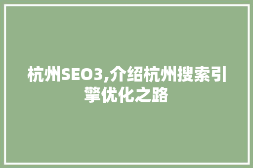 杭州SEO3,介绍杭州搜索引擎优化之路 建站教程