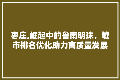 枣庄,崛起中的鲁南明珠，城市排名优化助力高质量发展 建站教程