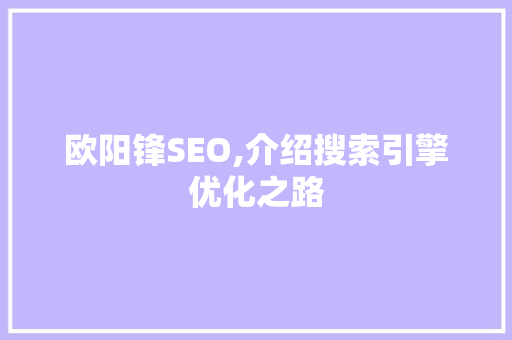 欧阳锋SEO,介绍搜索引擎优化之路