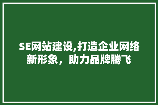 SE网站建设,打造企业网络新形象，助力品牌腾飞