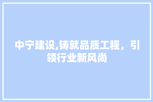 中宁建设,铸就品质工程，引领行业新风尚