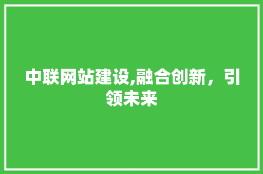 中联网站建设,融合创新，引领未来