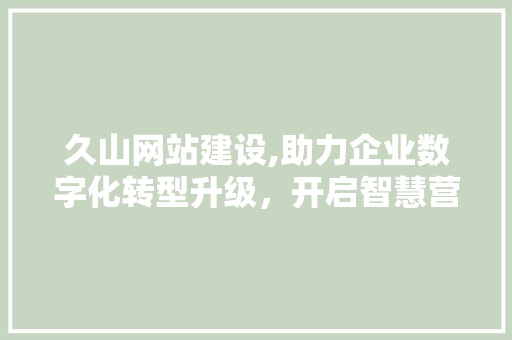 久山网站建设,助力企业数字化转型升级，开启智慧营销新时代