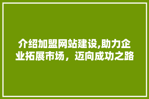 介绍加盟网站建设,助力企业拓展市场，迈向成功之路