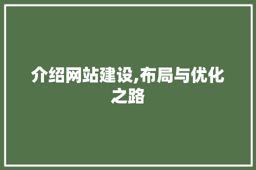 介绍网站建设,布局与优化之路