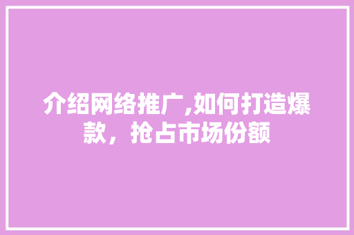 介绍网络推广,如何打造爆款，抢占市场份额
