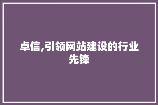 卓信,引领网站建设的行业先锋