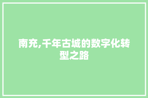 南充,千年古城的数字化转型之路