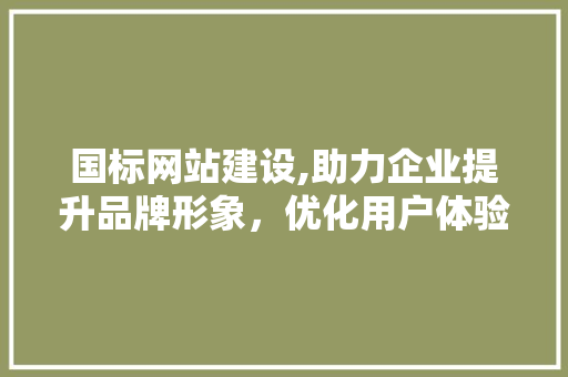 国标网站建设,助力企业提升品牌形象，优化用户体验