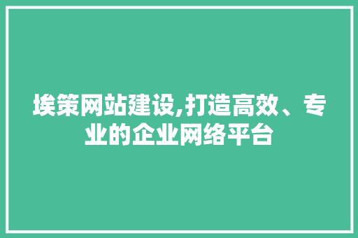 埃策网站建设,打造高效、专业的企业网络平台