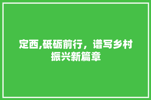 定西,砥砺前行，谱写乡村振兴新篇章 SEO教程