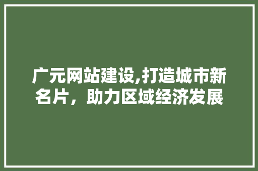 广元网站建设,打造城市新名片，助力区域经济发展