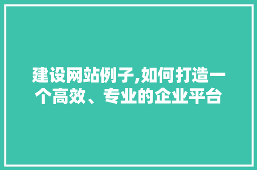 建设网站例子,如何打造一个高效、专业的企业平台