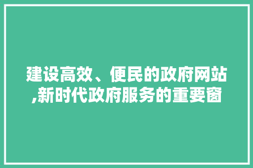 建设高效、便民的政府网站,新时代政府服务的重要窗口