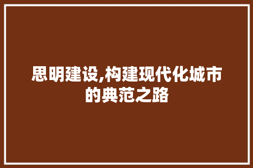 思明建设,构建现代化城市的典范之路