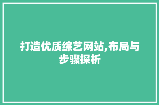 打造优质综艺网站,布局与步骤探析