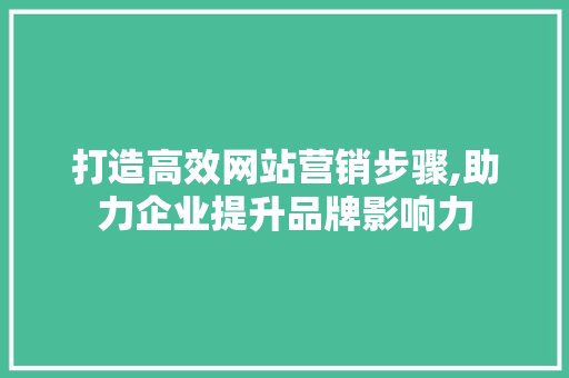 打造高效网站营销步骤,助力企业提升品牌影响力