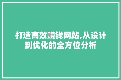 打造高效赚钱网站,从设计到优化的全方位分析