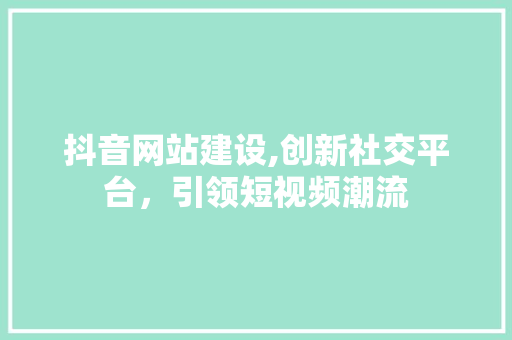 抖音网站建设,创新社交平台，引领短视频潮流