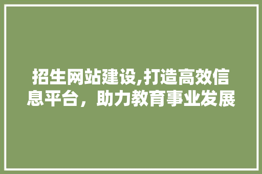招生网站建设,打造高效信息平台，助力教育事业发展