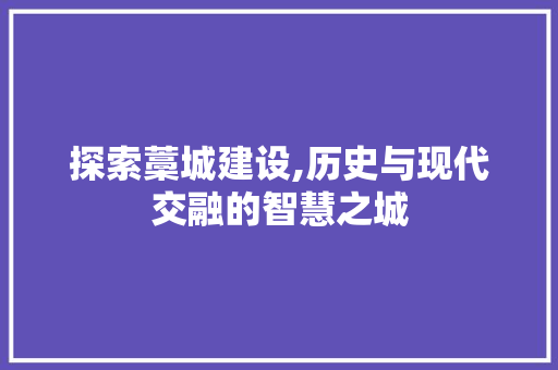 探索藁城建设,历史与现代交融的智慧之城