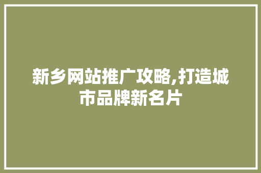 新乡网站推广攻略,打造城市品牌新名片