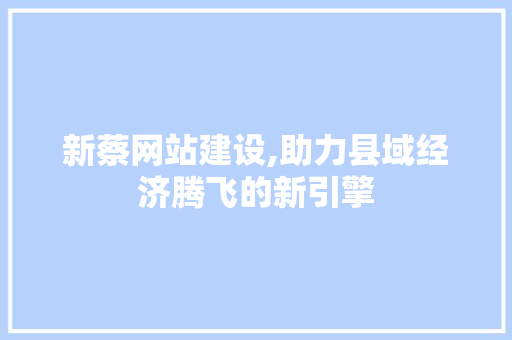 新蔡网站建设,助力县域经济腾飞的新引擎