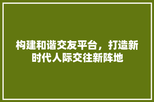 构建和谐交友平台，打造新时代人际交往新阵地