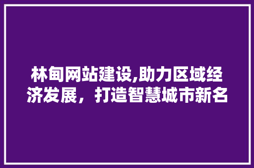 林甸网站建设,助力区域经济发展，打造智慧城市新名片