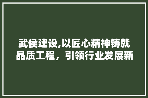 武侯建设,以匠心精神铸就品质工程，引领行业发展新篇章