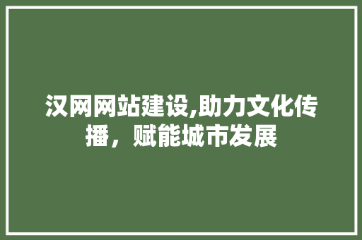汉网网站建设,助力文化传播，赋能城市发展
