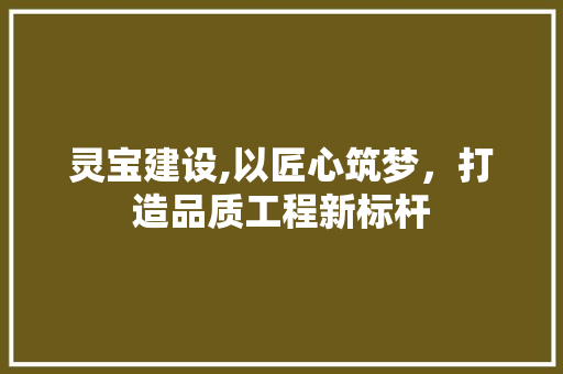 灵宝建设,以匠心筑梦，打造品质工程新标杆
