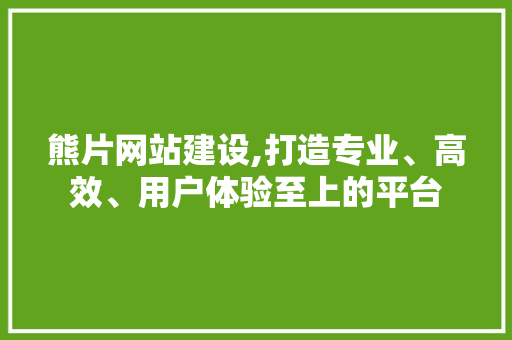 熊片网站建设,打造专业、高效、用户体验至上的平台