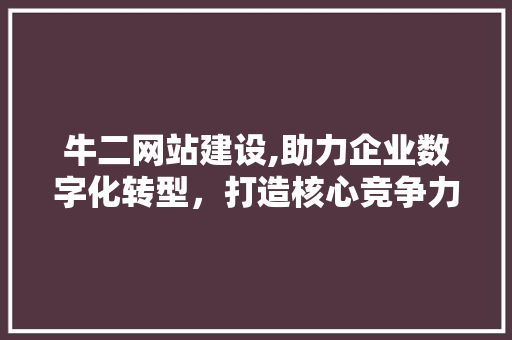 牛二网站建设,助力企业数字化转型，打造核心竞争力