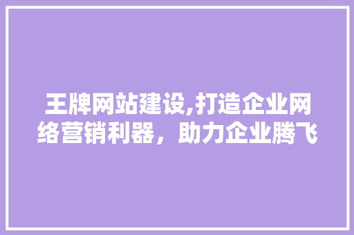 王牌网站建设,打造企业网络营销利器，助力企业腾飞