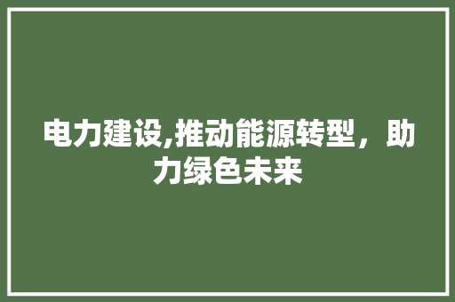 电力建设,推动能源转型，助力绿色未来