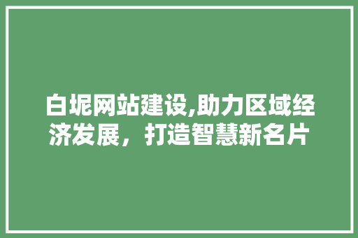 白坭网站建设,助力区域经济发展，打造智慧新名片