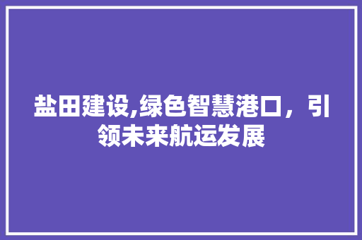 盐田建设,绿色智慧港口，引领未来航运发展