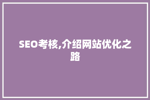 SEO考核,介绍网站优化之路 SEO考核,介绍网站优化之路 SEO教程
