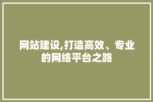 网站建设,打造高效、专业的网络平台之路