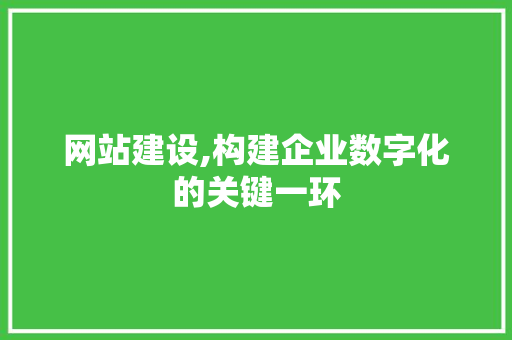 网站建设,构建企业数字化的关键一环
