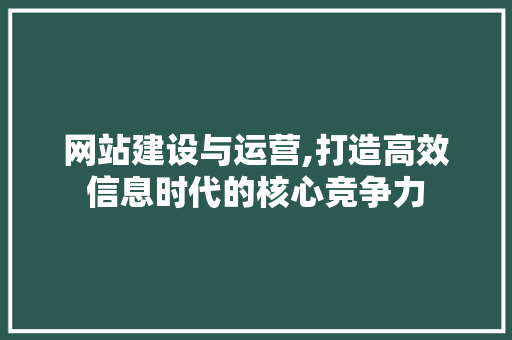 网站建设与运营,打造高效信息时代的核心竞争力