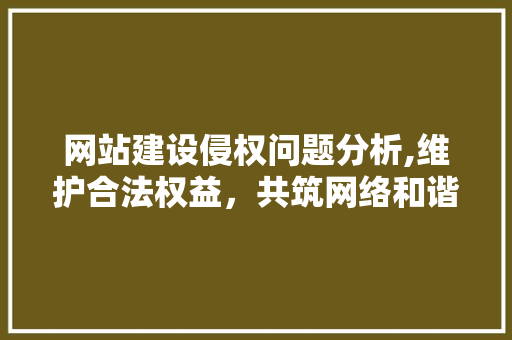 网站建设侵权问题分析,维护合法权益，共筑网络和谐