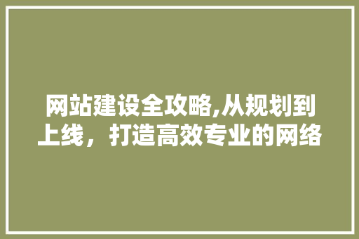 网站建设全攻略,从规划到上线，打造高效专业的网络平台