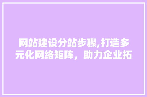网站建设分站步骤,打造多元化网络矩阵，助力企业拓展市场