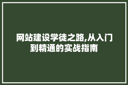 网站建设学徒之路,从入门到精通的实战指南