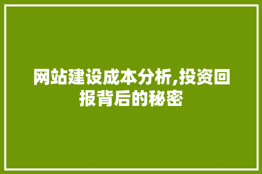 网站建设成本分析,投资回报背后的秘密