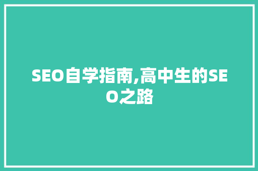 SEO自学指南,高中生的SEO之路