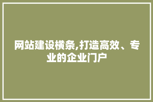 网站建设横条,打造高效、专业的企业门户